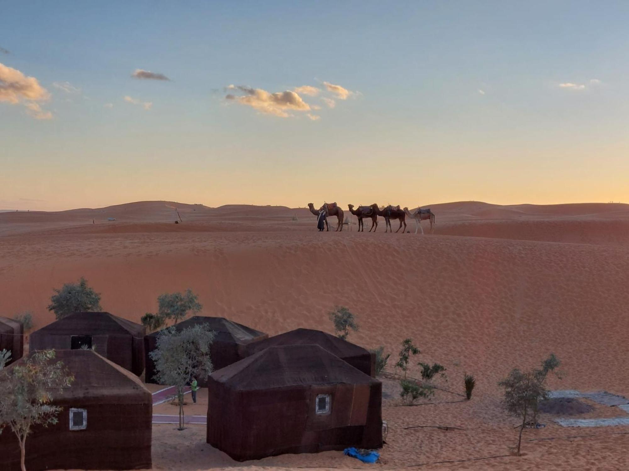 Hammadi Desert Camp เมอร์ซูกา ภายนอก รูปภาพ