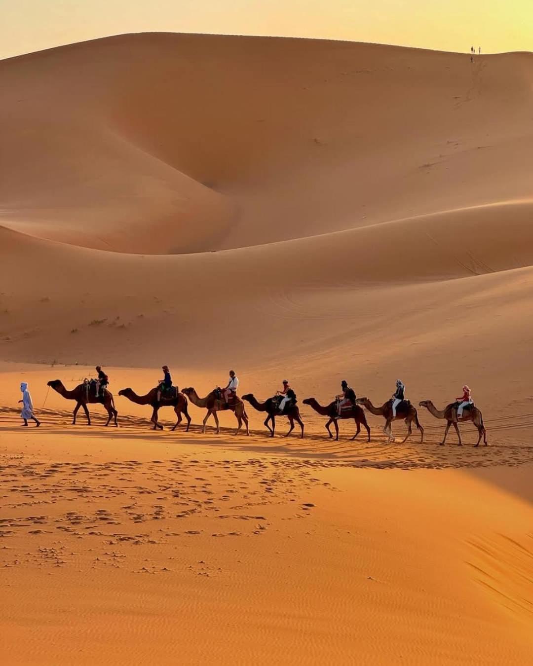 Hammadi Desert Camp เมอร์ซูกา ภายนอก รูปภาพ